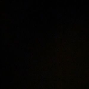 Meet your Posher, Giselle